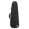 AA31 Violin Case