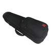 AA31 Violin Case