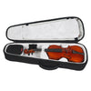 AA31 Violin Case