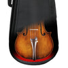 AA31 Violin Case